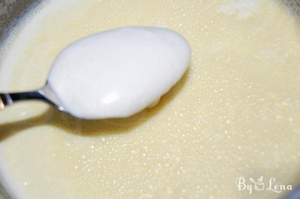 Homemade Natural Fermented Yoghurt - Step 2