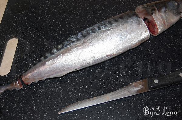 Easy Pickled Mackerel or Herring - Step 1