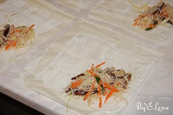 Chinese Spring Rolls - Step 14