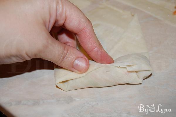 Chinese Spring Rolls - Step 16