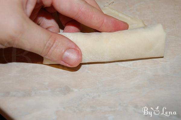 Chinese Spring Rolls - Step 17
