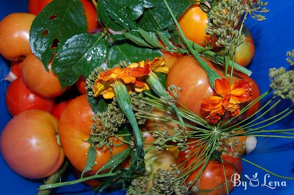 Moldovan Natural Fermented Pickled Tomatoes - Step 3