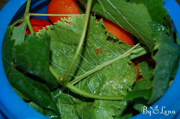Moldovan Natural Fermented Pickled Tomatoes - Step 5