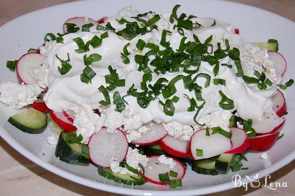 Cucumber Radish Salad with Cottage Cheese - Step 5