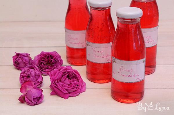 Homemade Rose Syrup