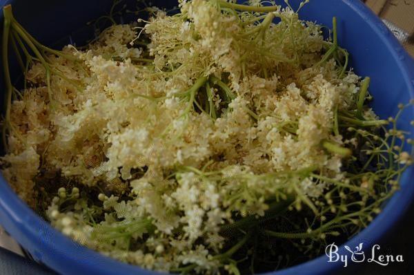 Wild Fermented Elderflower Soda - Step 1