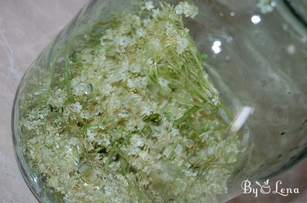 Wild Fermented Elderflower Soda - Step 2