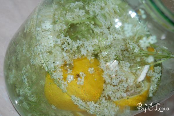 Wild Fermented Elderflower Soda - Step 4