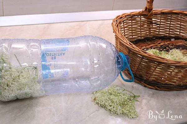 Elderflower Sourdough Fermented Soda - Romanian Socata - Step 1