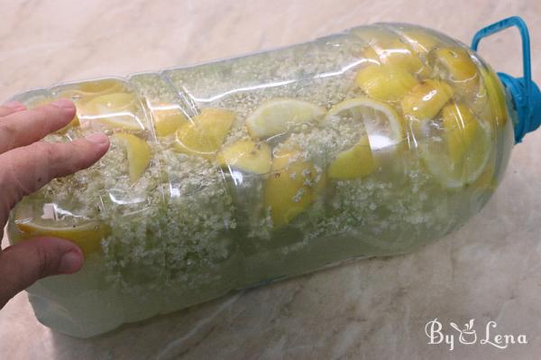 Elderflower Sourdough Fermented Soda - Romanian Socata - Step 7