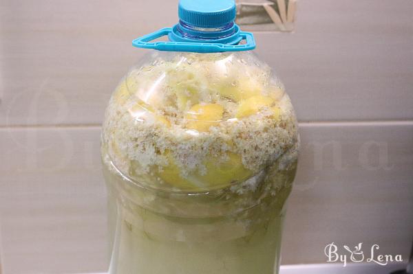 Elderflower Sourdough Fermented Soda - Romanian Socata - Step 8
