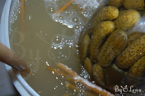 Fermented Whole Cabbage Heads - Step 10