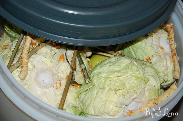 Fermented Whole Cabbage Heads - Step 6