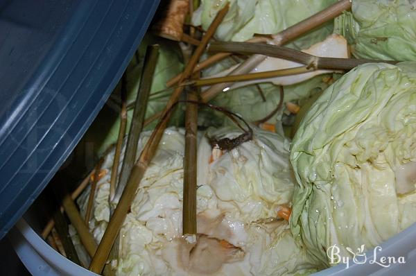 Fermented Whole Cabbage Heads (Romanian Varza Murata) - Step 8