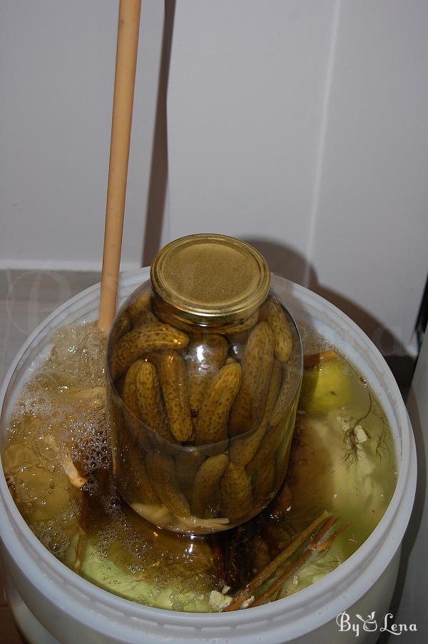 Fermented Whole Cabbage Heads - Step 9