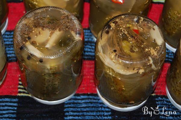 Natural Fermented Pickled Cucumbers - Step 10