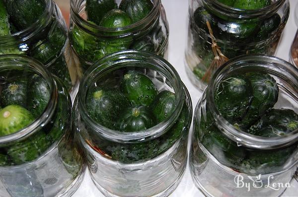 Natural Fermented Pickled Cucumbers - Step 3