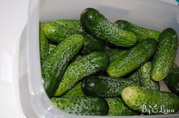 Natural Fermented Pickled Cucumbers - Step 4