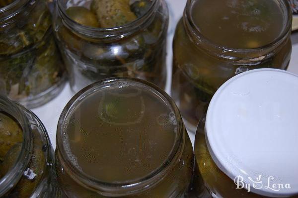 Natural Fermented Pickled Cucumbers - Step 9