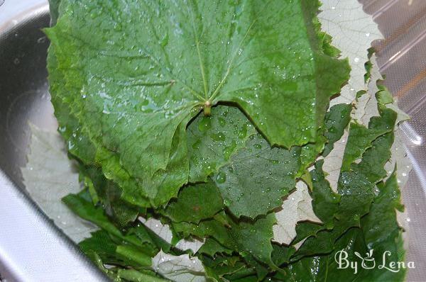 Freezing Grape Leaves - Step 1