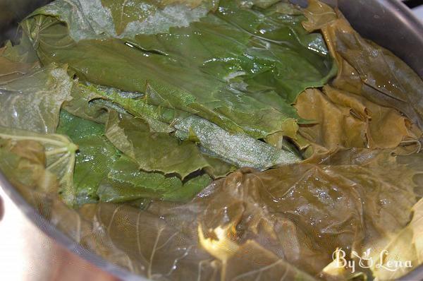 Freezing Grape Leaves - Step 3