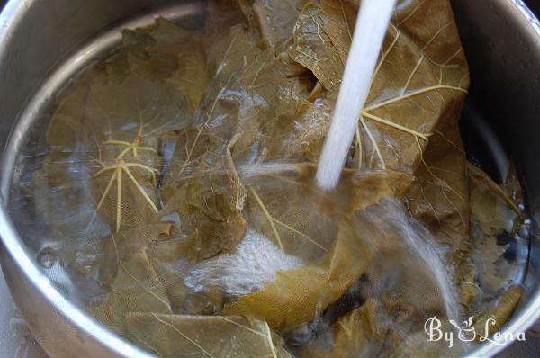 Freezing Grape Leaves - Step 4