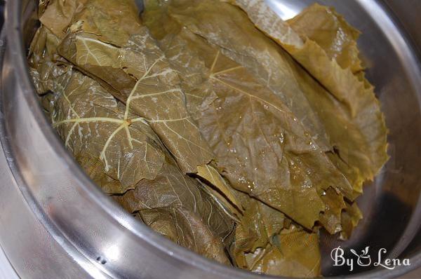 Freezing Grape Leaves - Step 5