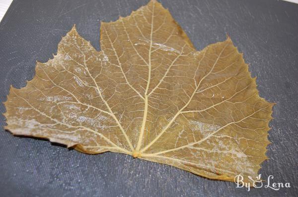 Freezing Grape Leaves - Step 6