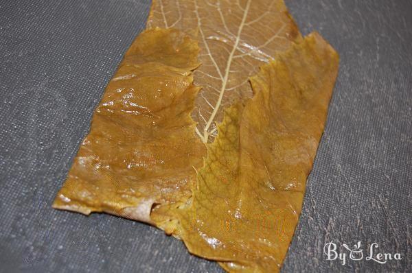 Freezing Grape Leaves - Step 7