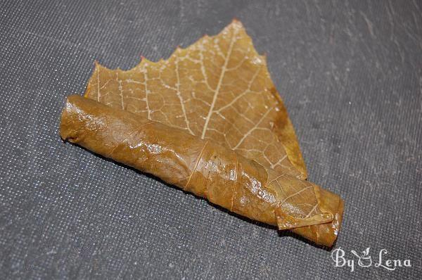 Freezing Grape Leaves - Step 8