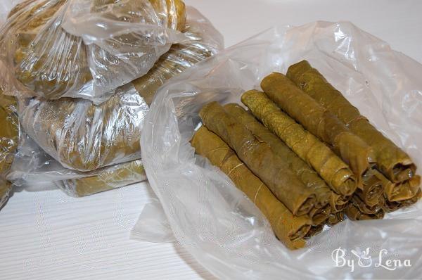 Freezing Grape Leaves