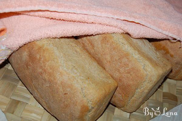 Easy Wholemeal Bread - Step 14