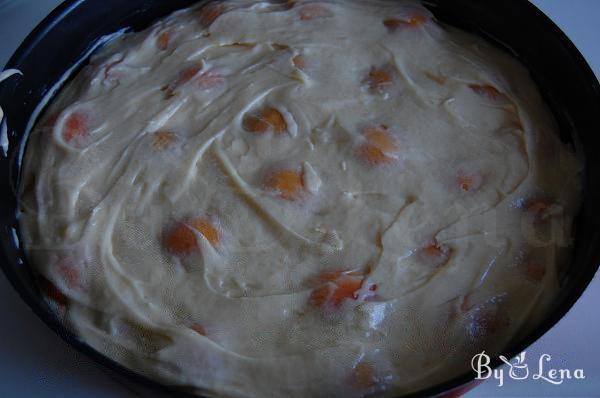 Easy Apricot and Peach Cake - Step 9