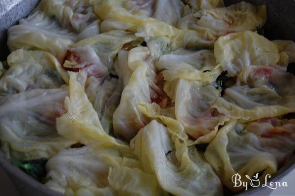 Mom's Cabbage Rolls - Moldovan Recipe - Step 14